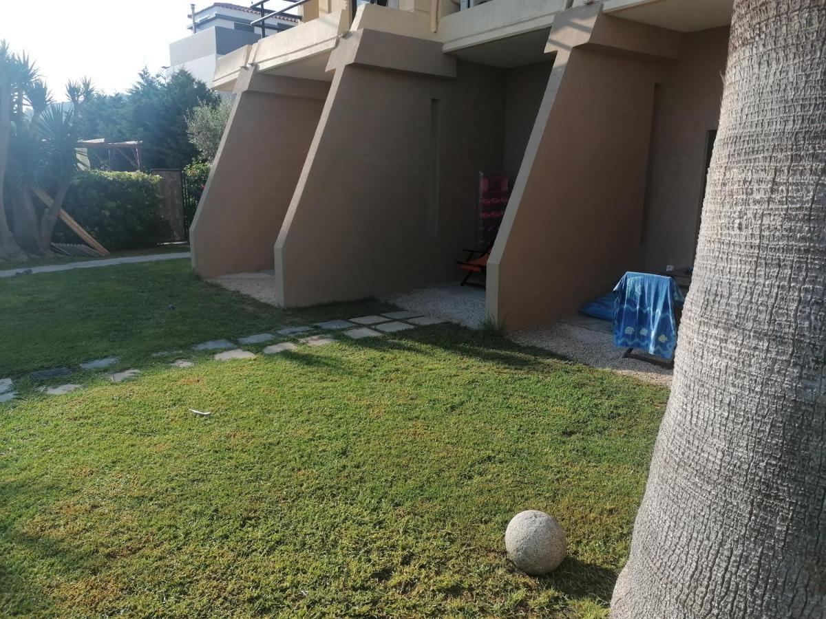 Endless Summer Pool Flat Ixia  Luaran gambar