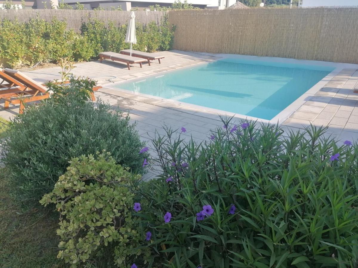 Endless Summer Pool Flat Ixia  Luaran gambar